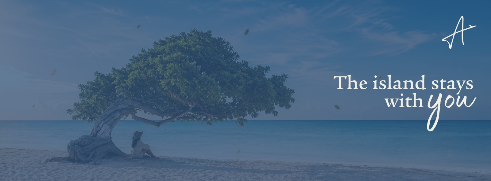 Árbol divi-divi junto al mar en tonos azules, con el texto «The island stays with you» y la marca de Arrive Aruba.